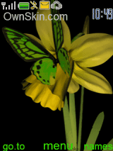 GreenButterFlyByDaliag
