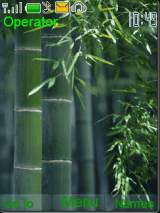 bamboo