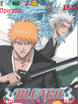 Bleach