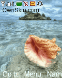 Sea Animated
