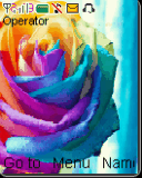 roses are red