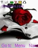 rose