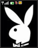 play boy2