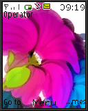 Flowers beautiful