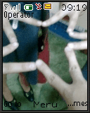 Friends Forever