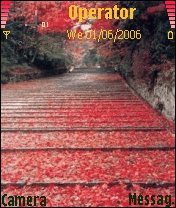 红叶满阶