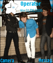 the jonas brothers