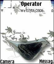 bird80