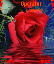 ROSE'S