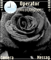blackrose