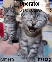 Cute Cats