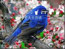 知更鸟