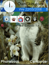 all about cat