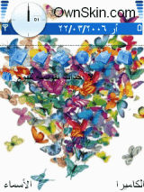Butterfly