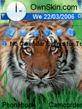 Big Cats