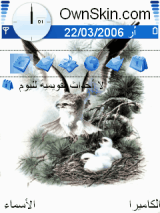 الصقر