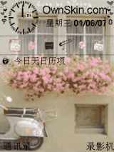 花儿
