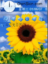 喜欢向日葵