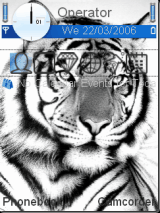 White tiger