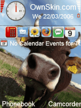 Cow
