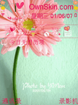 Lo~花儿