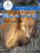 fox
