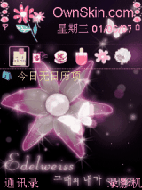 蝶恋花