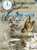 كناري