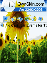 Sunflower_03