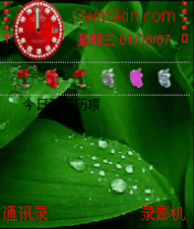 qq508