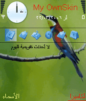 ثيم طيور 
