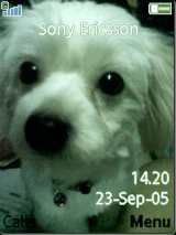 The Dog 