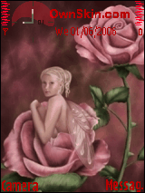 butterfly in the rose