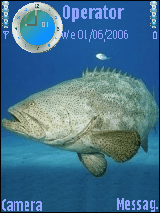 Grouper