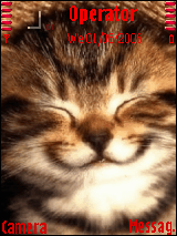 Animals smile