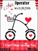 Love bicycle