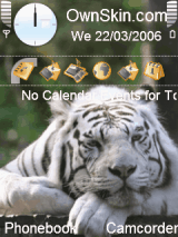 tiger