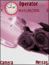 pink roses