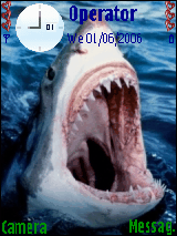 Sharks