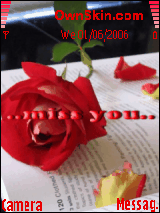 miss you