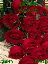 red roses