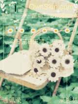 动态  太阳花