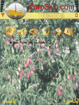 fruits