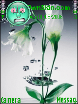 flower love