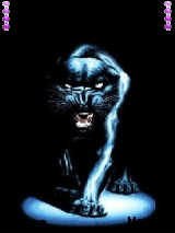 pantera