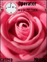 PinkRose