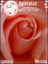 rose