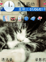 草莓猫咪