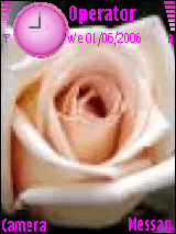 XX