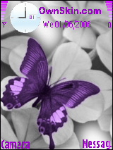 7aramy